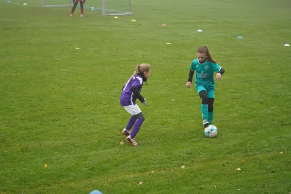 10.11.2024 TSV Hertingshausen vs. TSV Obermelsungen