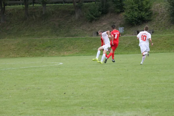 22.07.2017 TSV Hertingshausen vs. FC Overberge