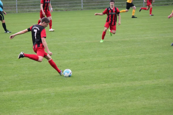 13.08.2017 TSV Hertingshausen vs. Fortuna Kassel 1961