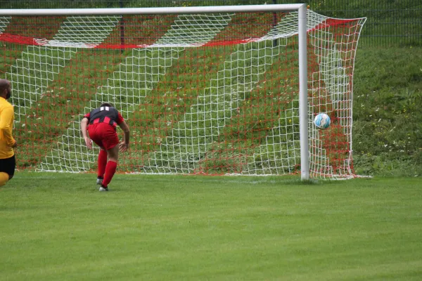 13.08.2017 TSV Hertingshausen vs. Fortuna Kassel 1961