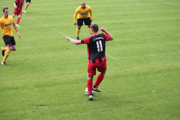 13.08.2017 TSV Hertingshausen vs. Fortuna Kassel 1961