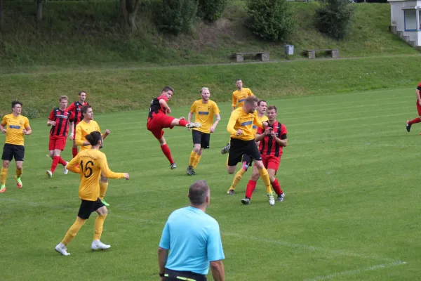 13.08.2017 TSV Hertingshausen vs. Fortuna Kassel 1961