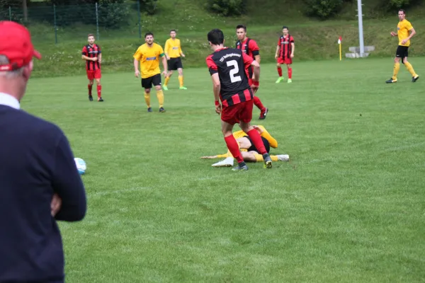 13.08.2017 TSV Hertingshausen vs. Fortuna Kassel 1961