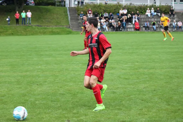 13.08.2017 TSV Hertingshausen vs. Fortuna Kassel 1961