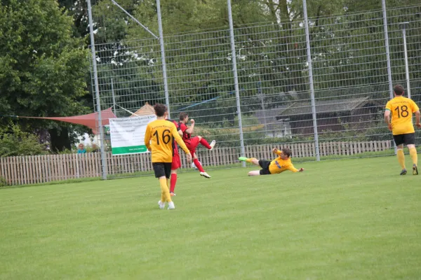 13.08.2017 TSV Hertingshausen vs. Fortuna Kassel 1961