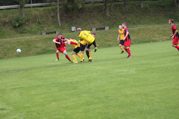 13.08.2017 TSV Hertingshausen vs. Fortuna Kassel 1961